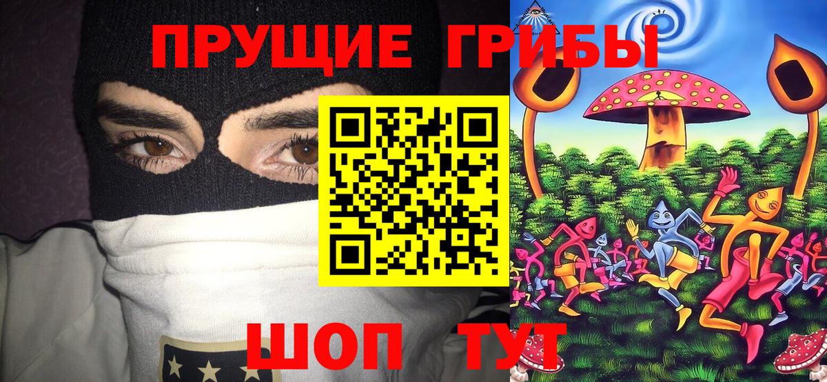 Псилоцибиновые грибы мицелий Десногорск