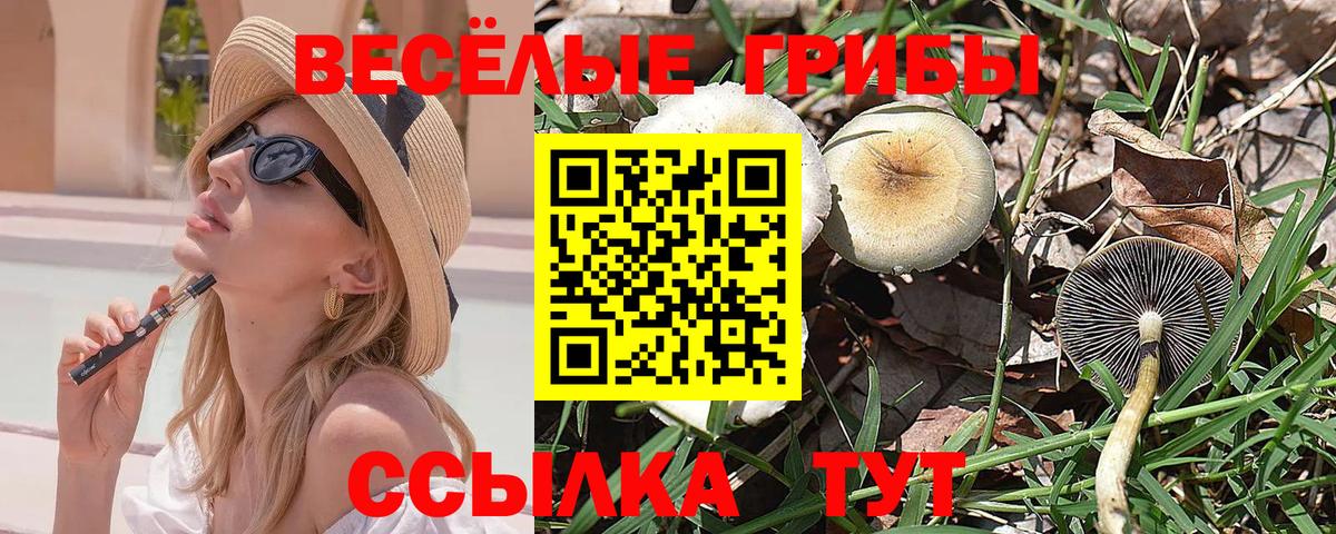 Псилоцибиновые грибы Psilocybine cubensis  Псилоцибиновые грибы мицелий  Десногорск  Вход с VPN 